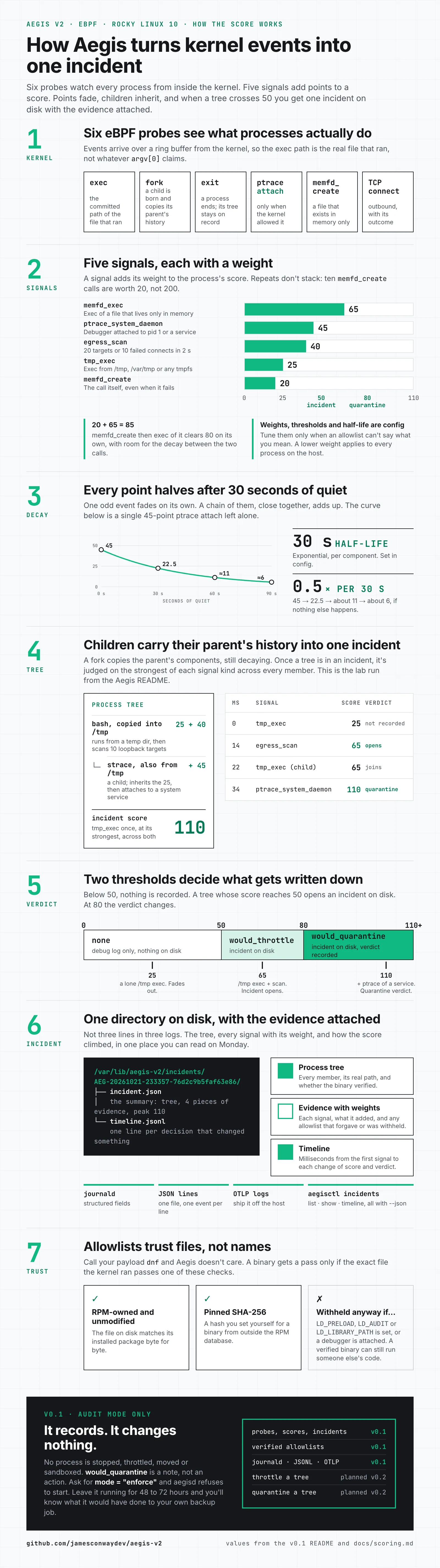 Infographic: how Aegis v2 turns kernel events into one incident. Six eBPF probes feed five weighted signals, scores halve every 30 seconds of quiet, a process tree that reaches 50 opens an incident on disk, 80 means would_quarantine, allowlists trust verified files rather than names, and v0.1 changes nothing on the host.